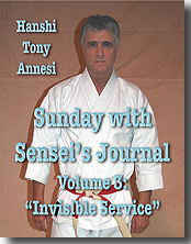 Sunday with Sensei's Journal 3