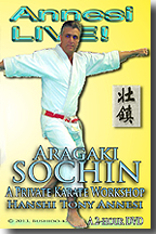 Aragaki Sochin