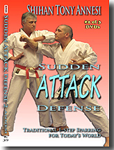 Sudden Attack Defense 2