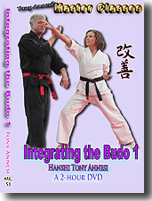 Integrating the Budo 1