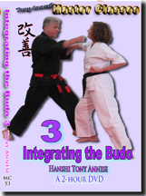 Integrating the Budo 3