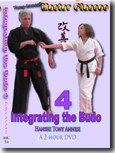 Integrating the Budo 4