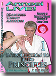 Introduction to Budo Principles 1