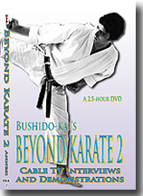 Beyond Karate 2