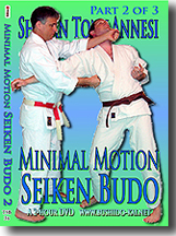 Minimal Motion Seiken Budo 2