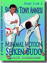 Minimal Motion Seiken Budo 3