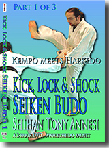 Kick, Lock, & Shock Seiken Budo 1