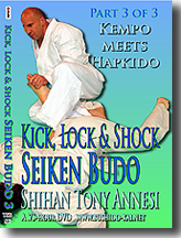 Kick, Lock, & Shock Seiken Budo 3