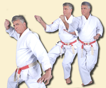 Aiki DVDs, Karate DVDs, Sogo Budo DVDs