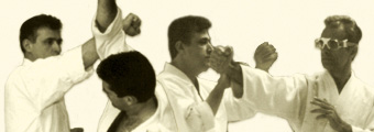 Takeshin Sogo Budo